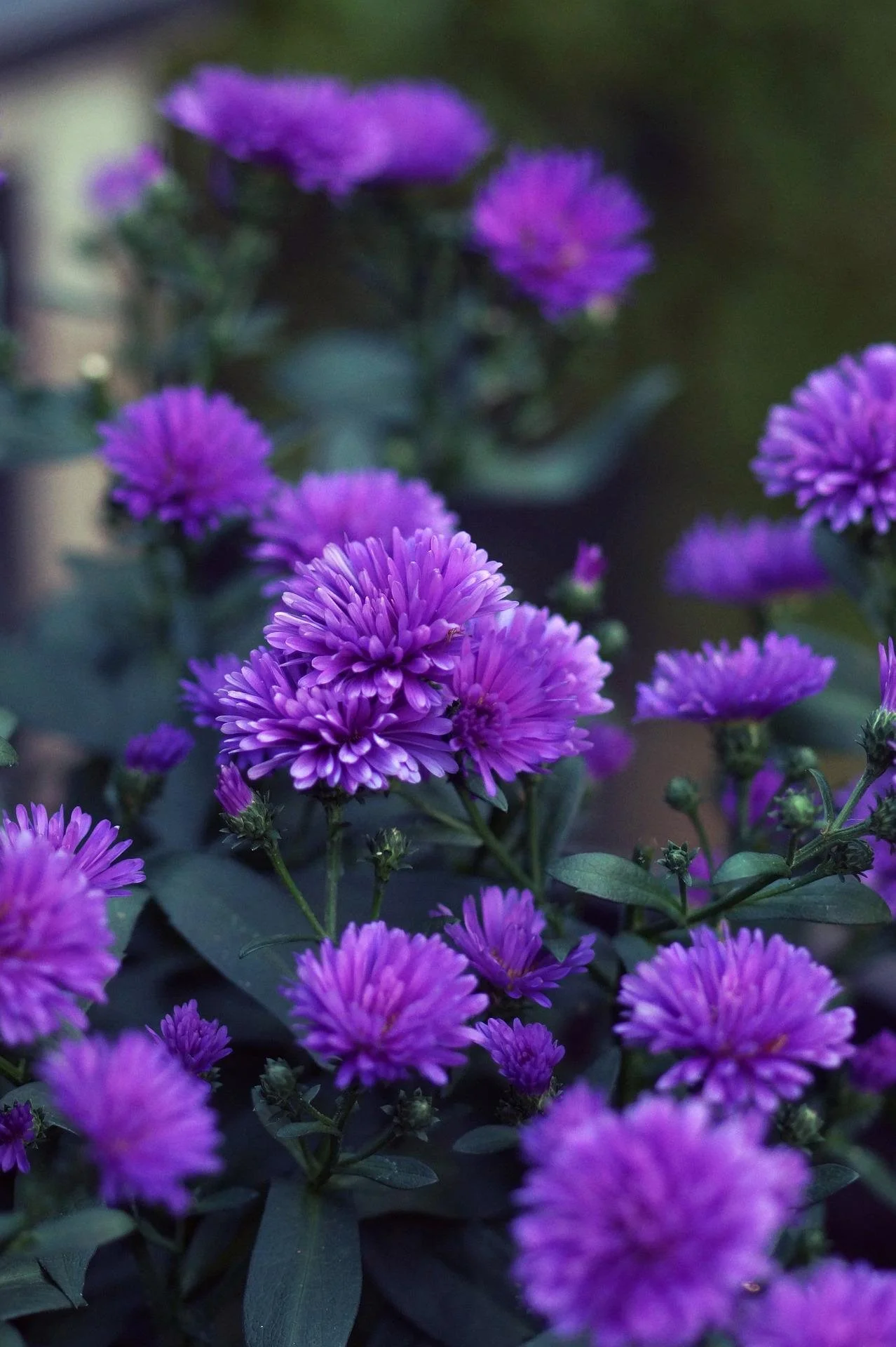 September 2022 Newsletter