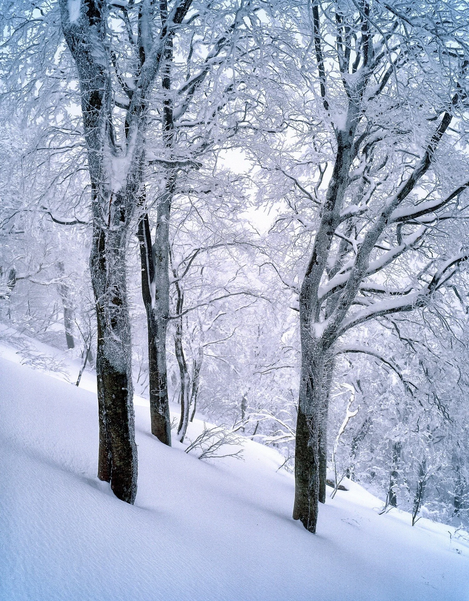 January 2023 Newsletter