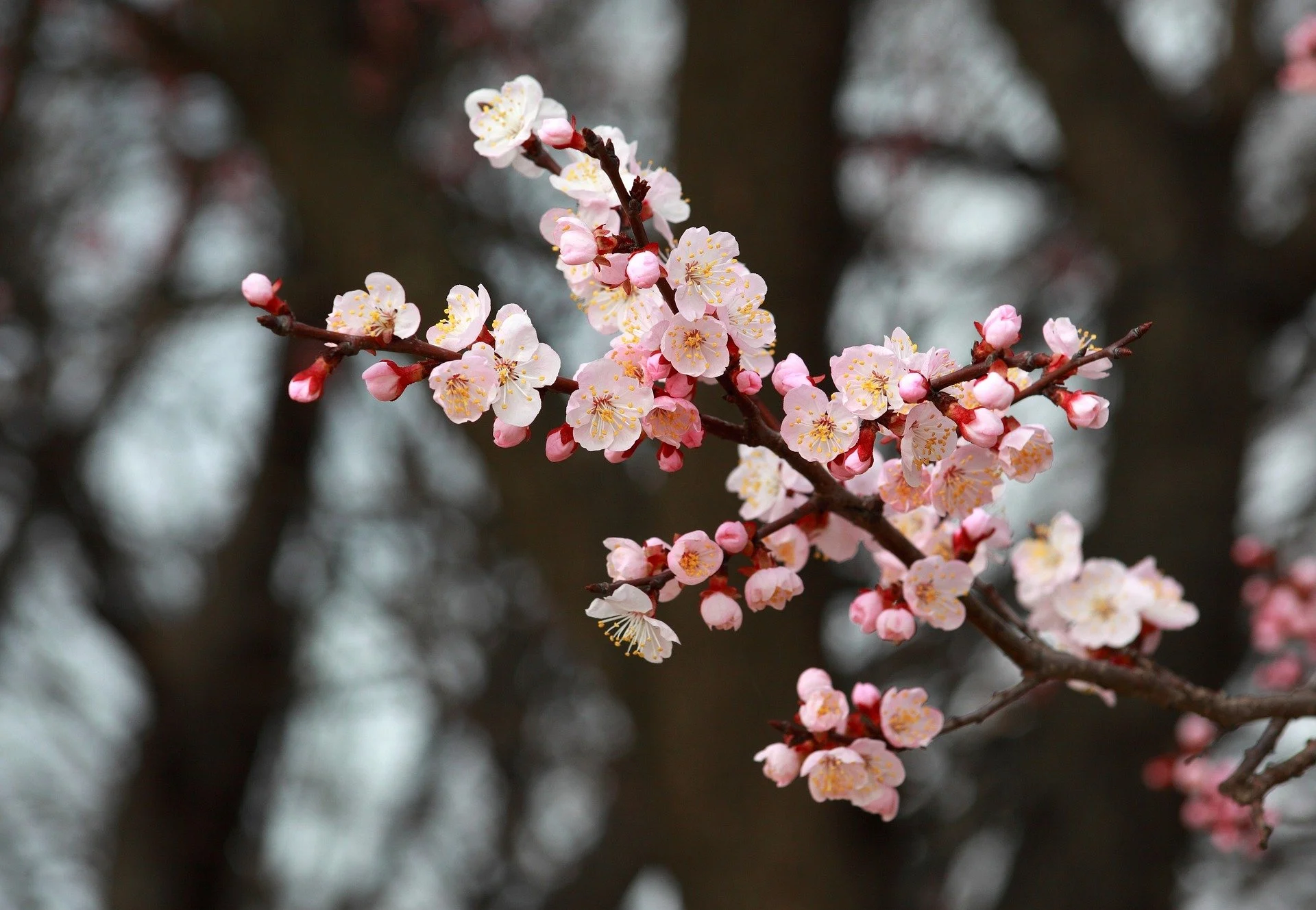 April 2023 Newsletter
