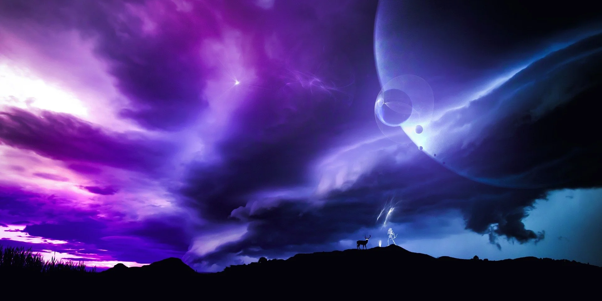 Destiny &amp; Freewill