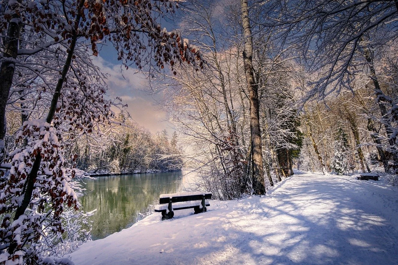 January 2026 Newsletter