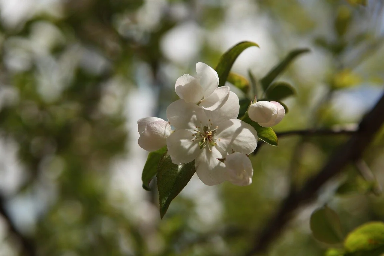 April 2026 Newsletter