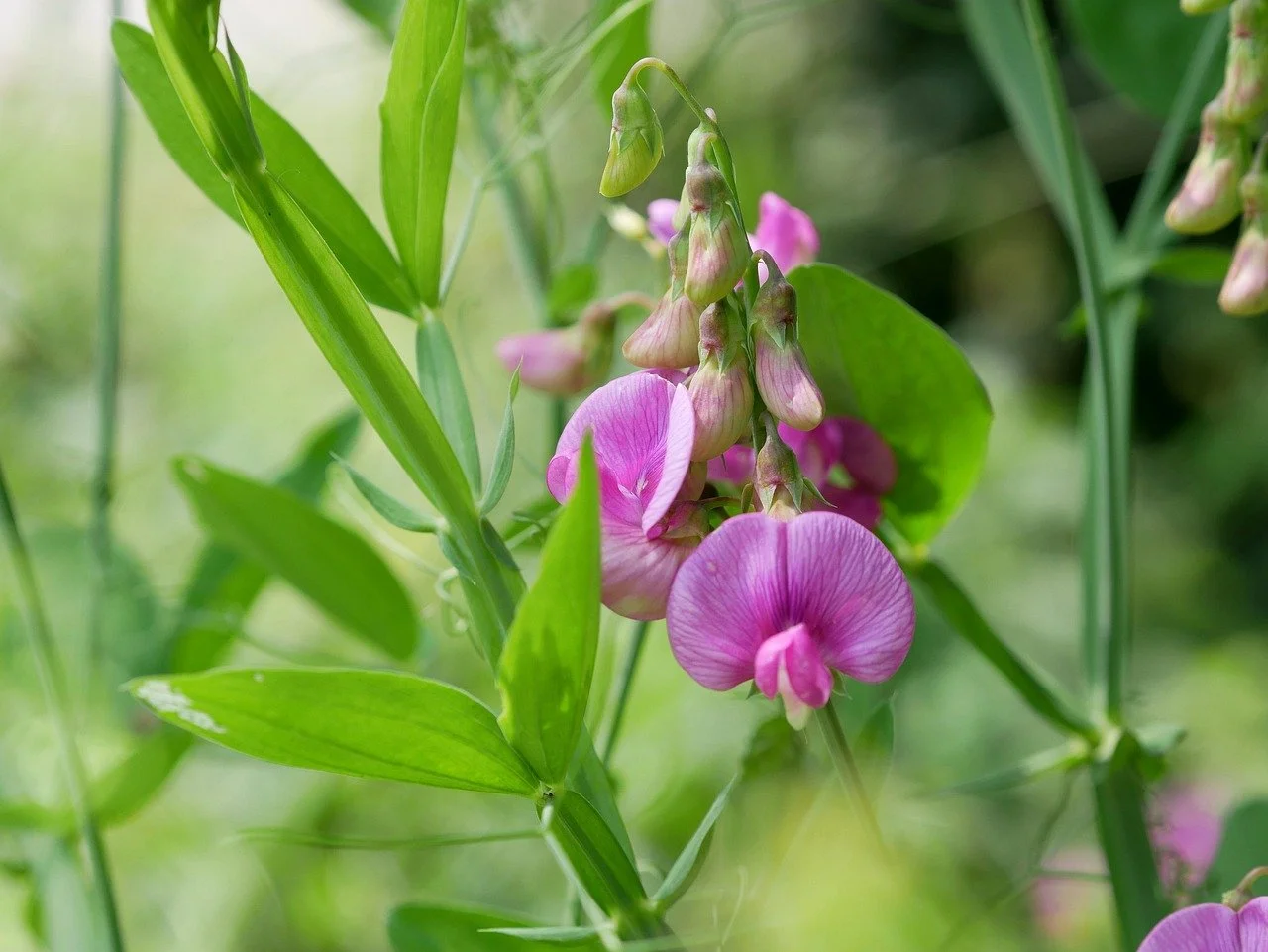 June 2026 Newsletter