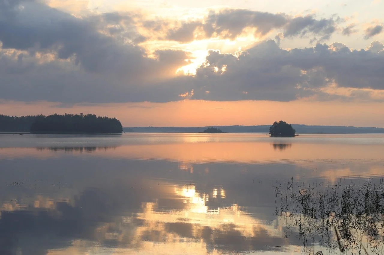 August 2026 Newsletter