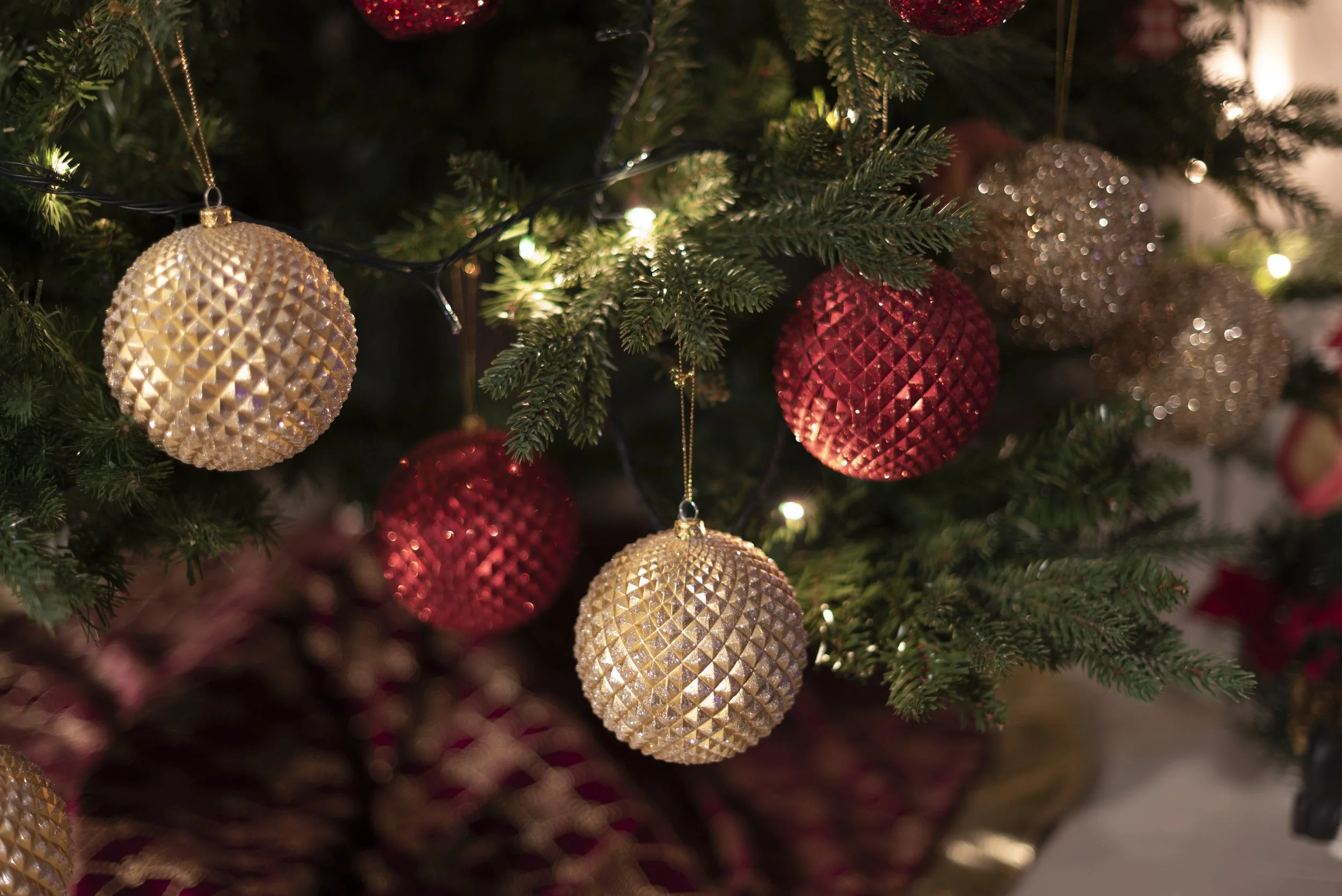 December 2026 Newsletter