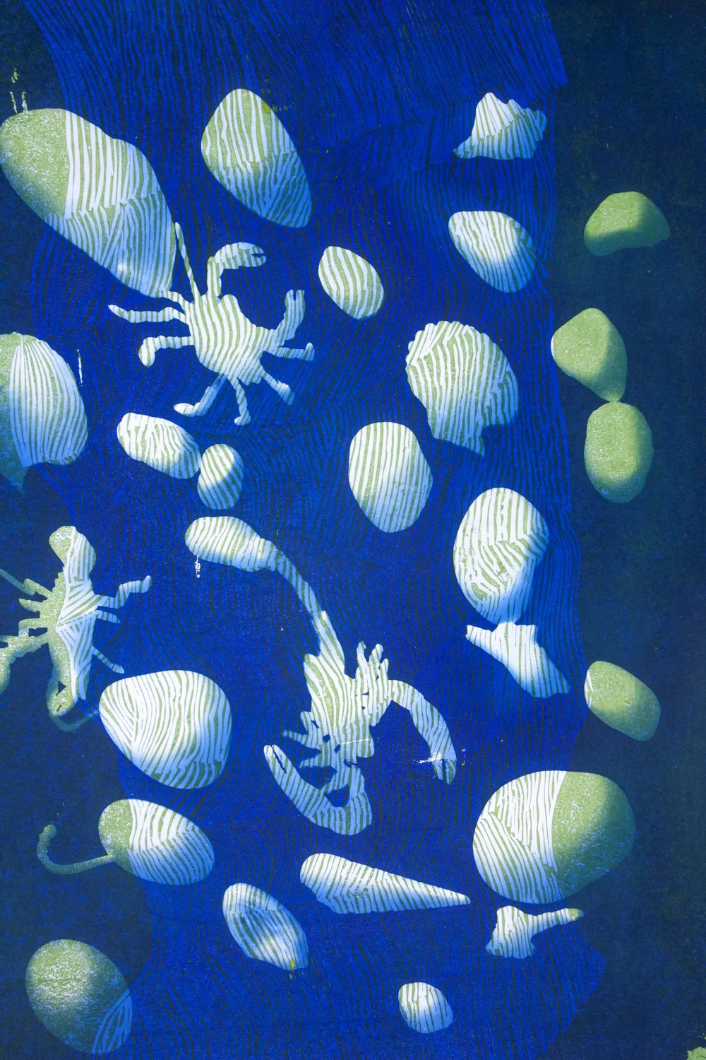   Ocean Floor,  2017, cyanotype, relief print, 35cm X 45cm 