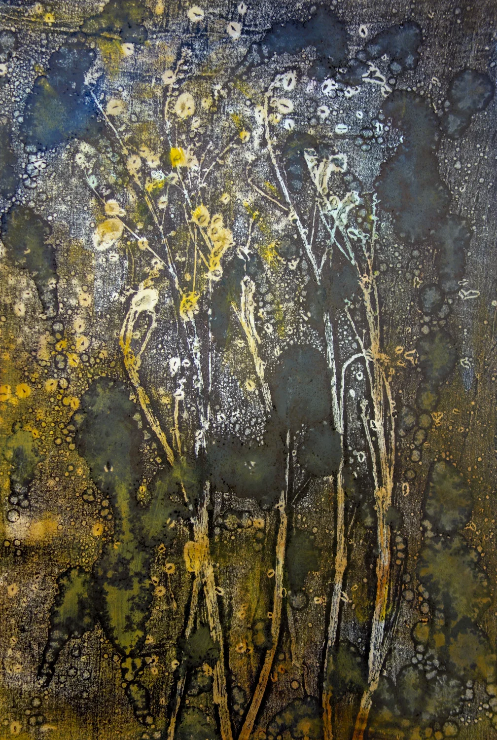   Foliage 3,  2015, monotype, 55.5cm x 75.5cm 