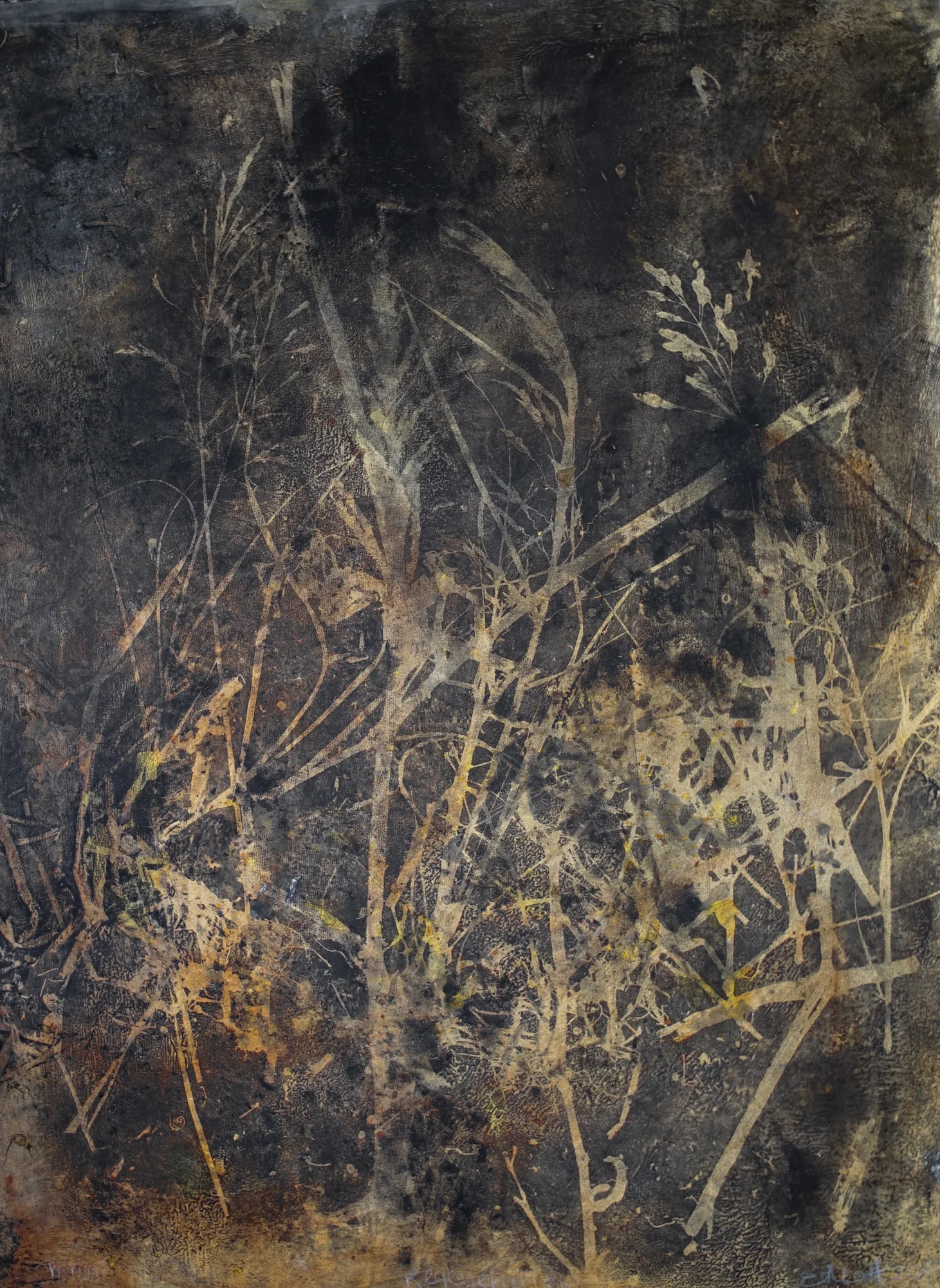   Regeneration/sepia,  2018,   monotype on Magnani Pescia paper, 55.5cm x 75.5cm 