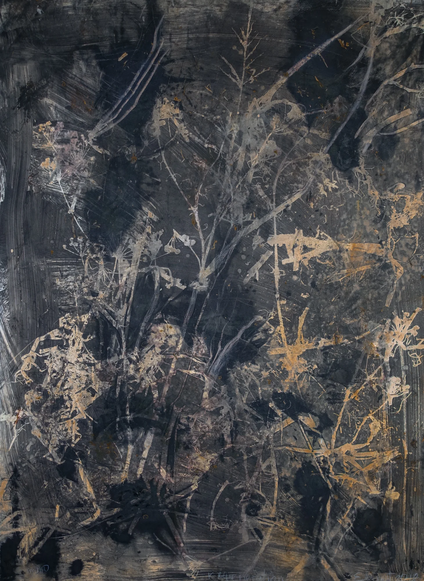   Regeneration/charcoal,  2018,   monotype on Magnani Pescia paper, 55.5cm x 75.5cm 