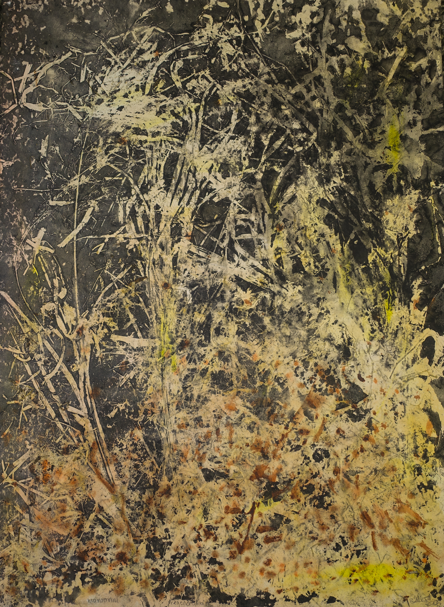   Regeneration/yellow,  2018,   monotype on Magnani Pescia paper, 55.5cm x 75.5cm 