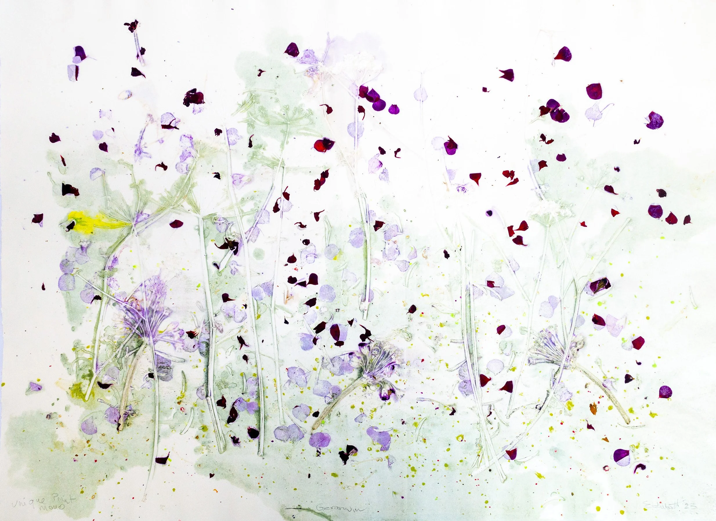   Forage Series/Geranium,  2023, monotype  75.5cm x 55.5cm 