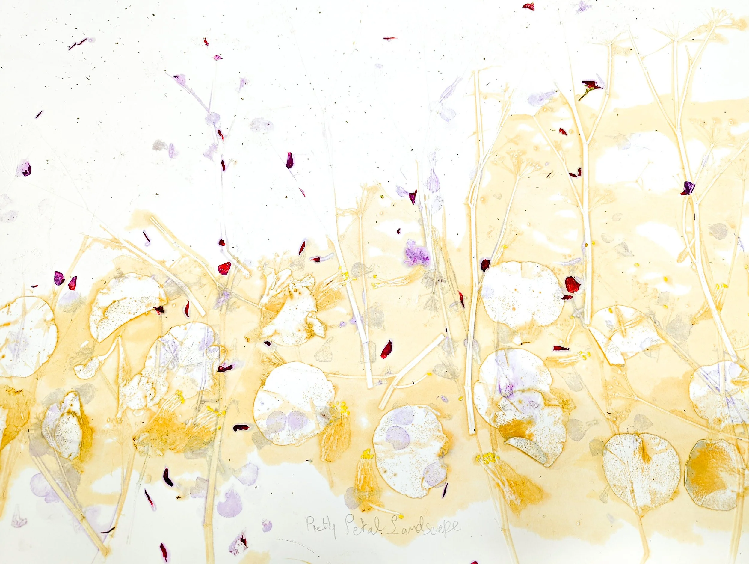   Pretty Petal Landscape,  2022, monotype  75.5cm x 55.5cm 