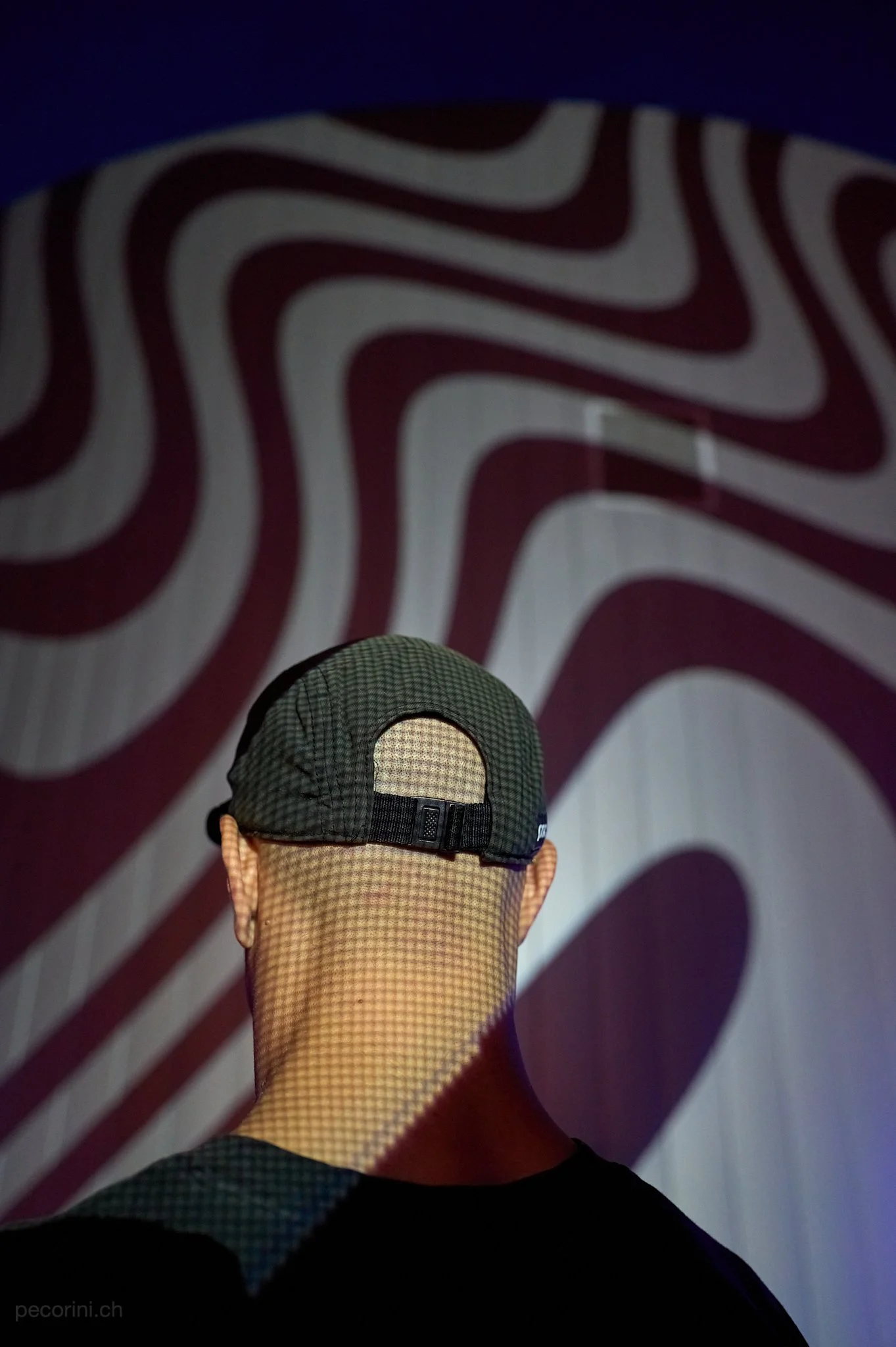 4596_pecorini.ch.jpg