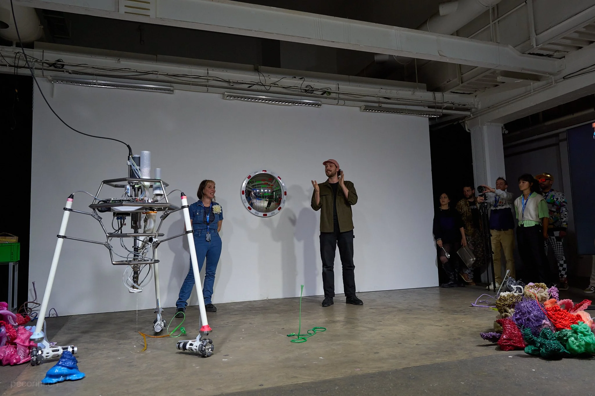 8184.jpg