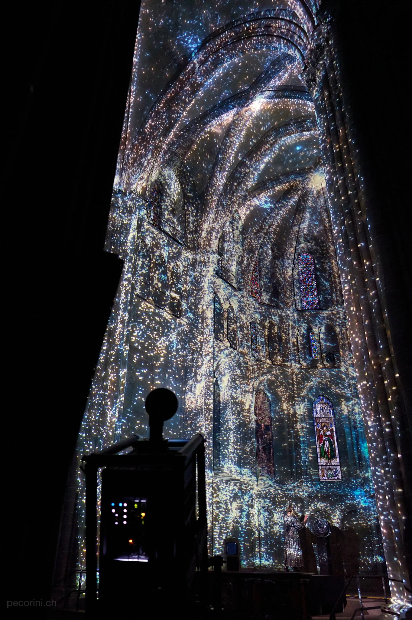 453419_L1091448_pecorini.ch 1.jpg