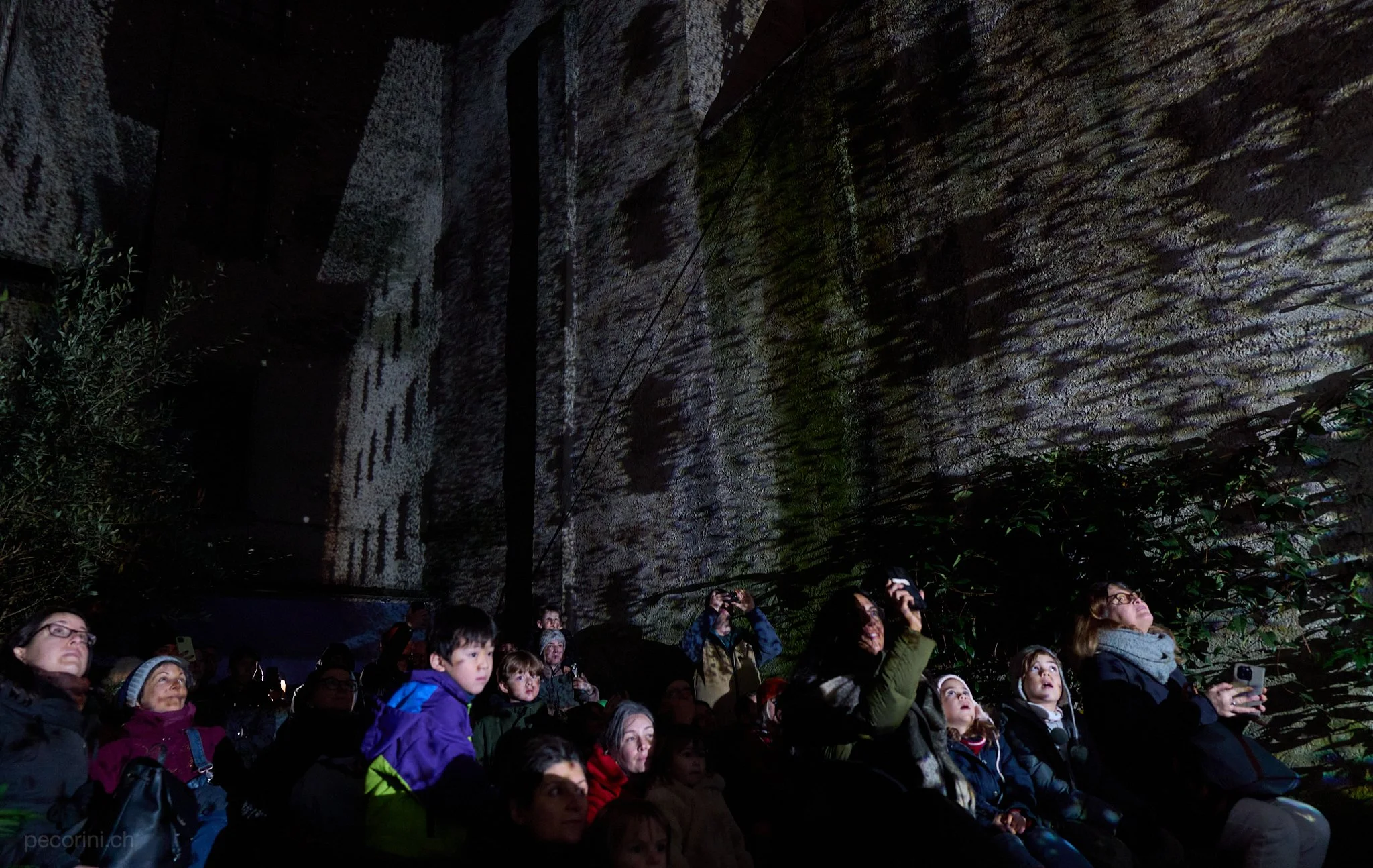 L1089280_pecorini.ch 1.jpg