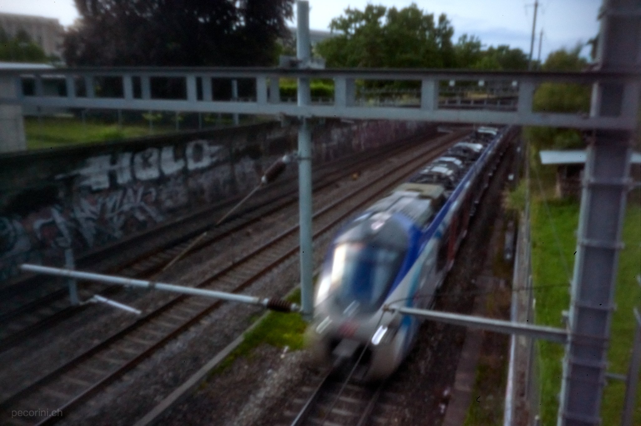 L1003515_pecorini.ch.jpg