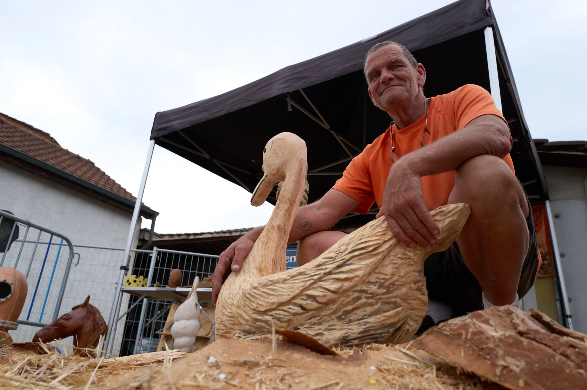 6365_pecorini.ch_L1160853.jpg
