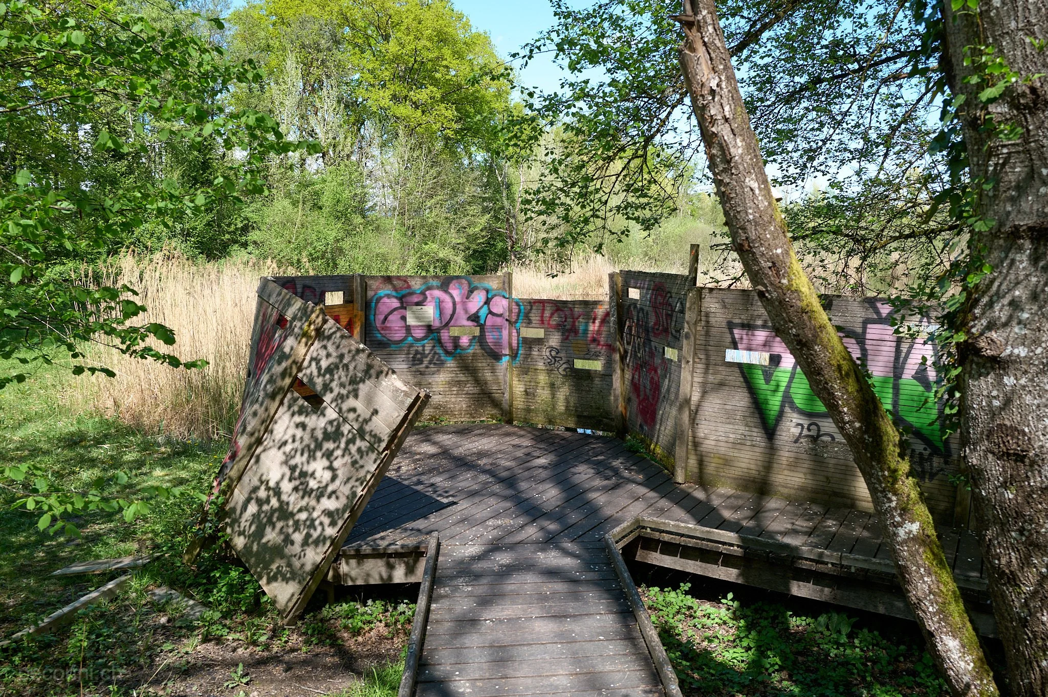 L1004154_pecorini.net.jpg
