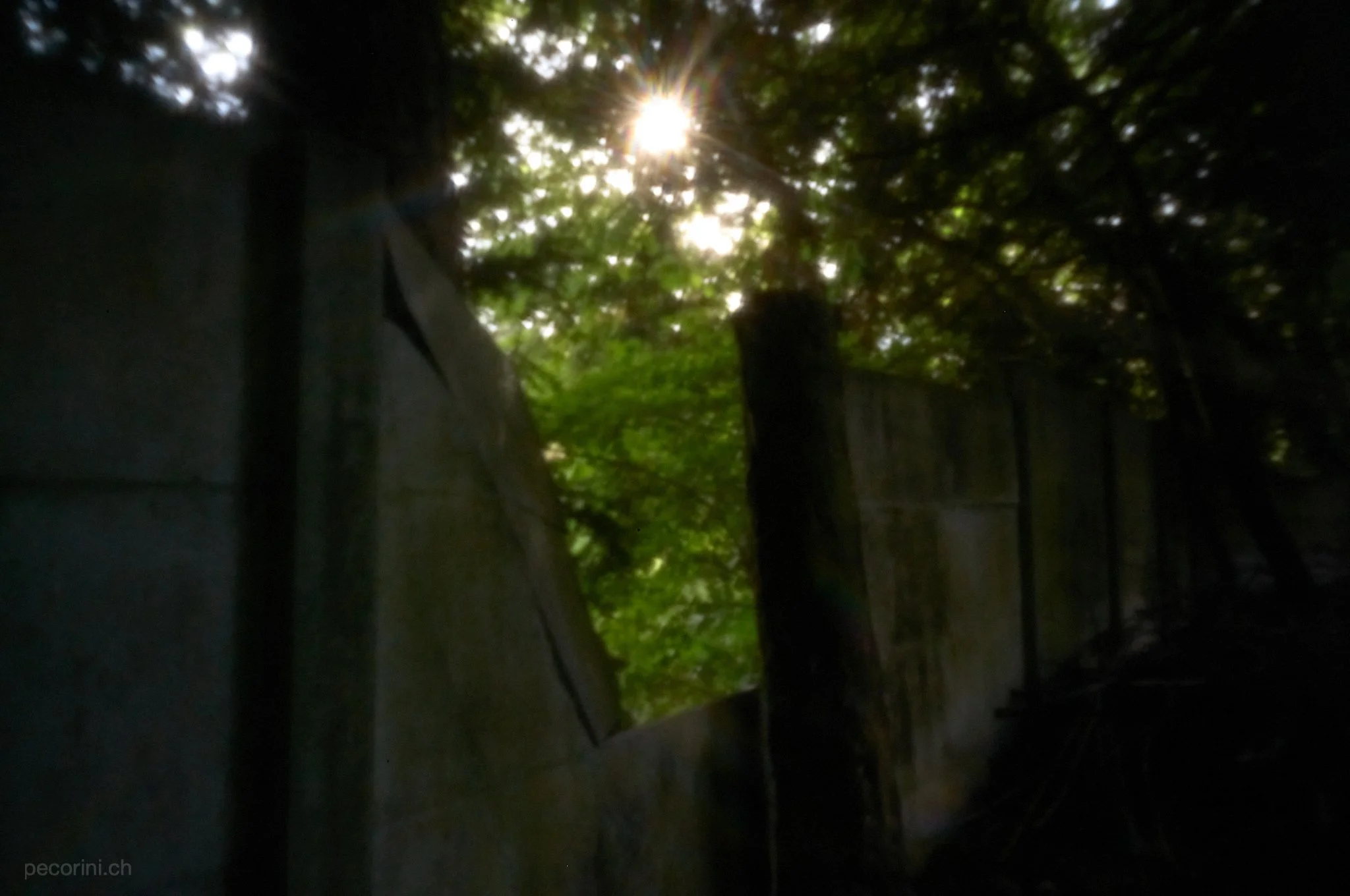L1003626_pecorini.ch.jpg