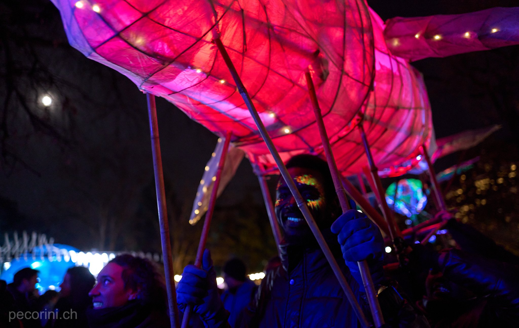 208535_L1092421 1_pecorini.ch.jpg