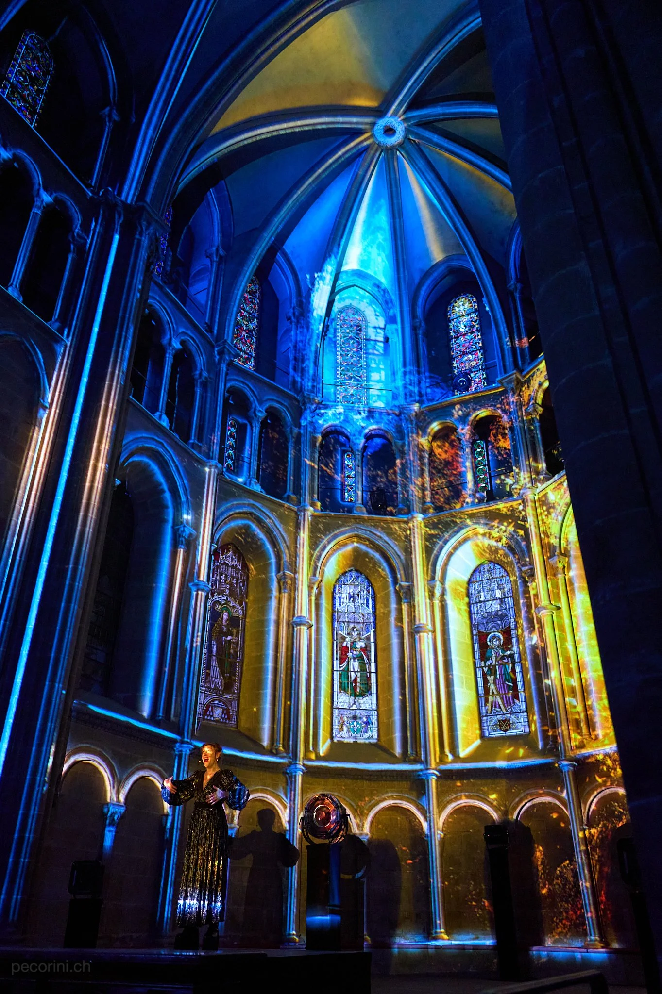 687769_L1091475_pecorini.ch 1.jpg