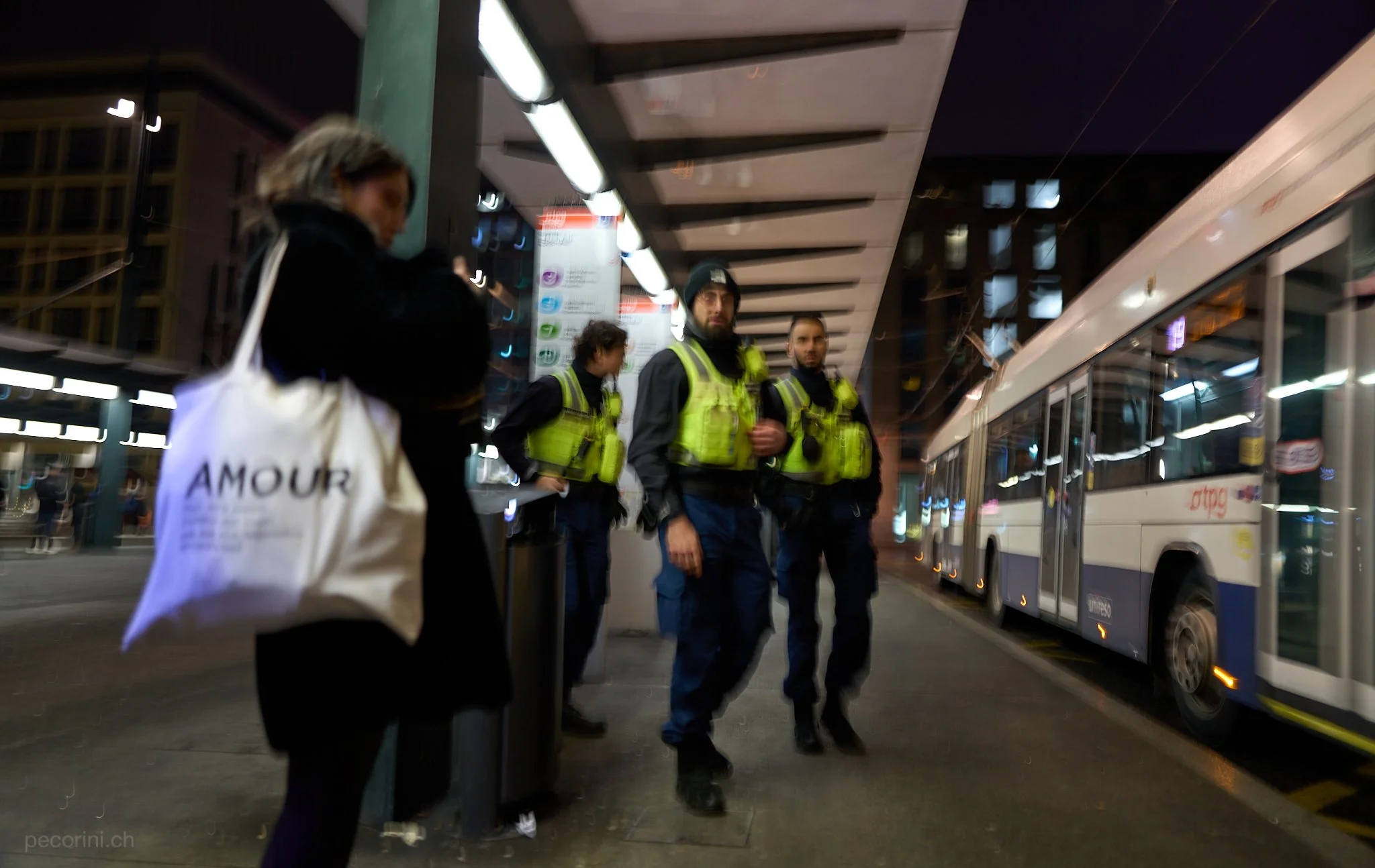 L1089563_pecorini.ch 1.jpg