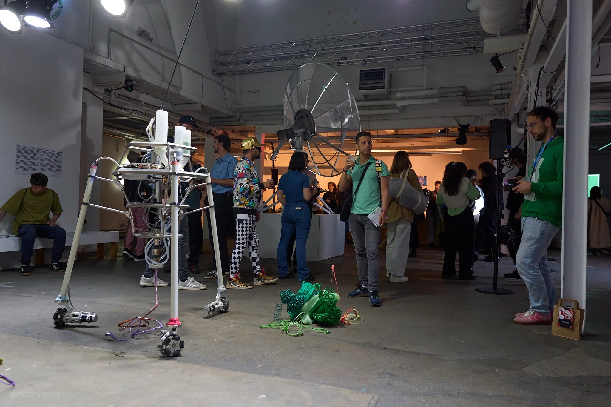 4832_pecorini.ch.jpg