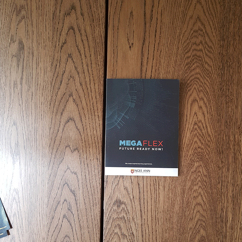 ROHEI Corporation - Branding, Infographic, and Layout design.