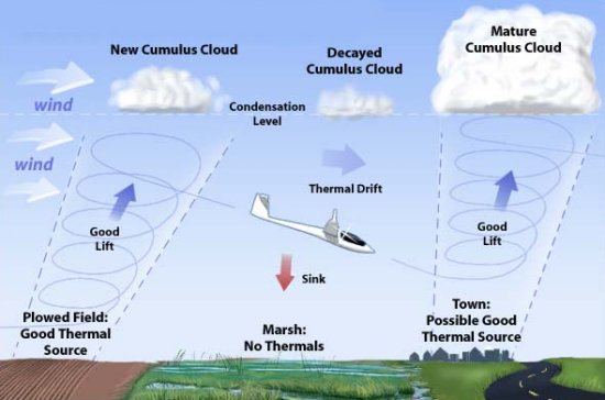 thermals2010.jpg
