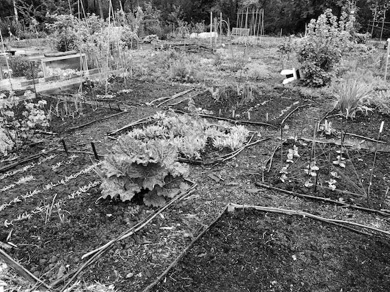 📖 Duurzaam organiseren is niet voor luilakken