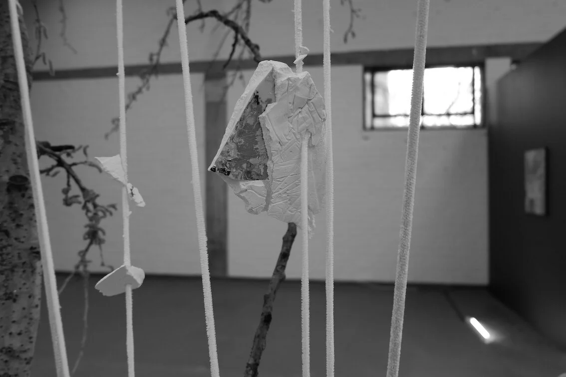 📖 Verwond(erd): healing is the new punk