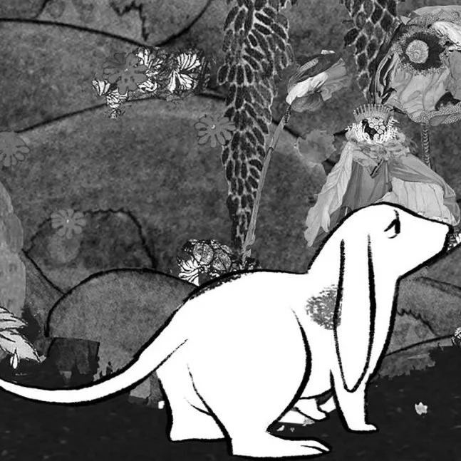 📖 Pleidooi voor verwondering in het onderwijs