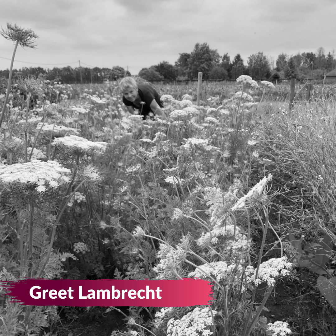 📖 Vitale Rassen verenigt boeren die zaden telen voor een veerkrachtige en biodiverse landbouw