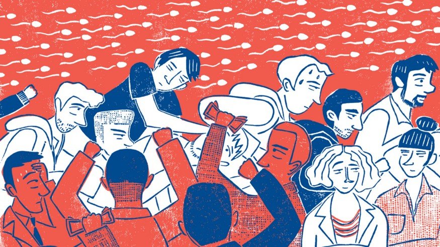 📖 Zaaikapitaal, op-en-neer-trajecten, versnelling, exit: sex &amp; start-ups