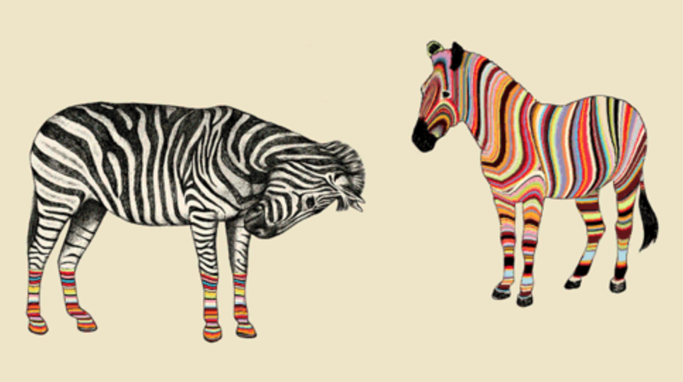 📖 Het 6P-model van een zebra heeft oog voor Person, People, Planet, Purpose, Prosperity en Partnership