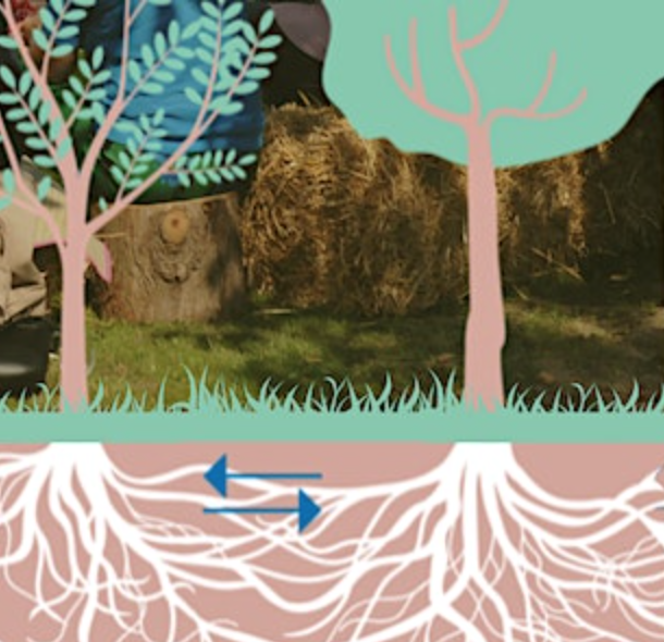 vzw Regeneratief Leven: Feestelijke lancering