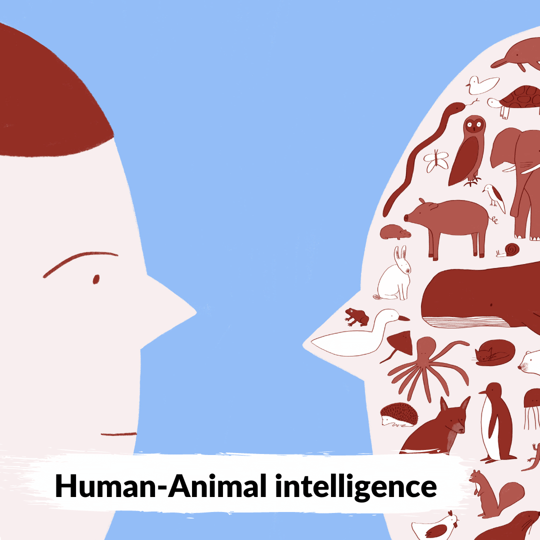 📖 Hoe taal en verhalen onze relatie met dieren bepaalt en het van levensbelang is om dat te veranderen