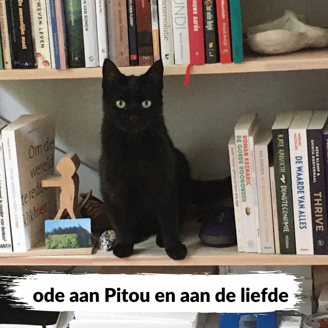 📖 Ode aan Pitou en aan de liefde