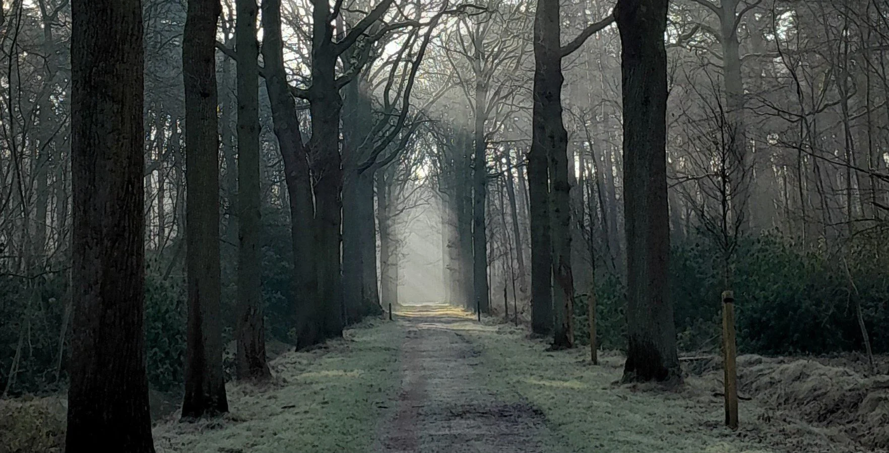 📖 Zodat mensen weer gaan dromen van een toekomst die ze zelf in handen kunnen nemen