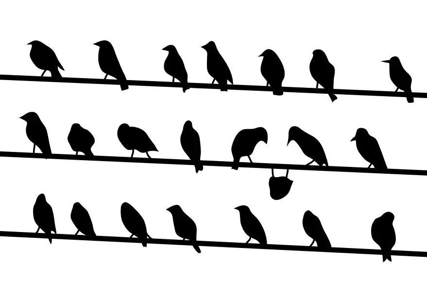 Introductie Deep Democracy