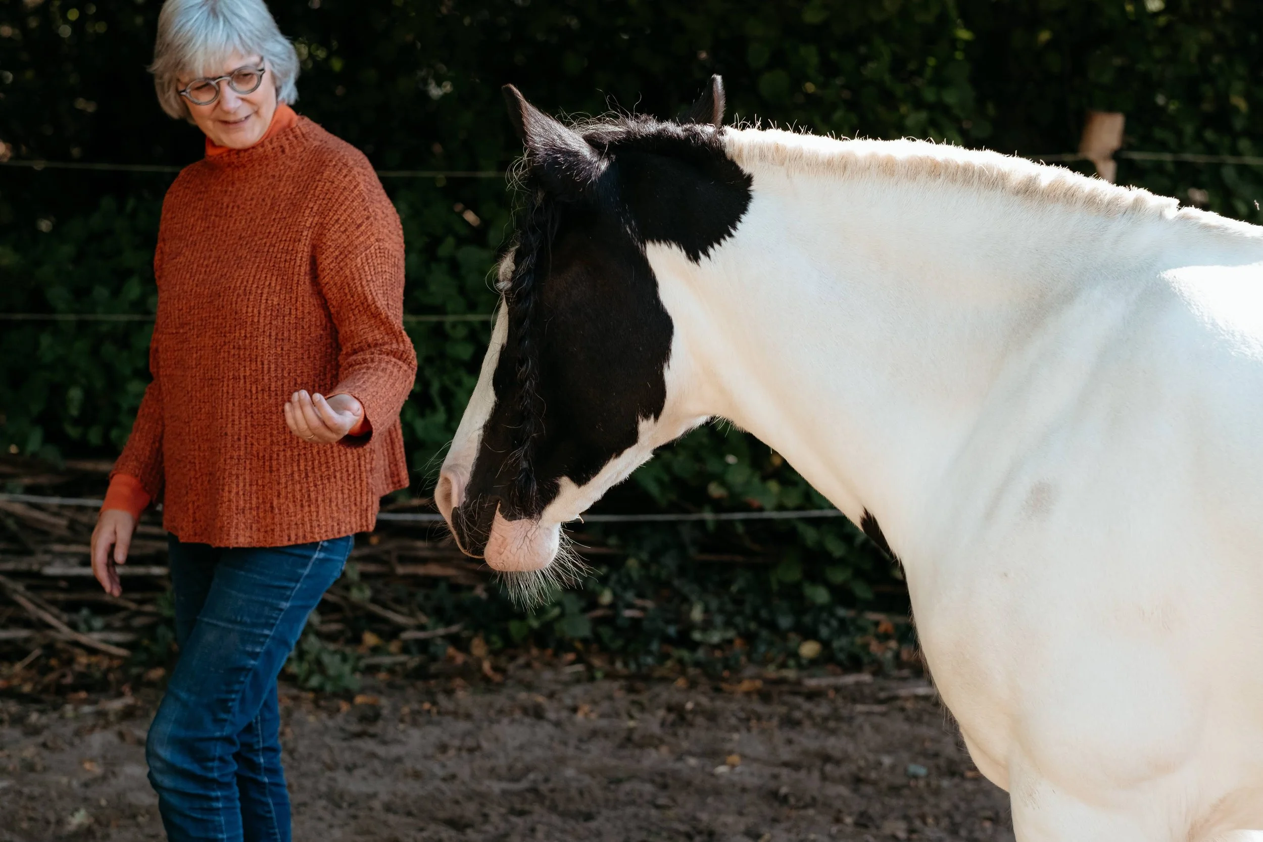 Paarden als boodschappers van bezieling