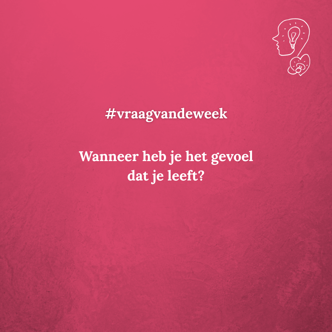 disrupt-jezelf-vraag-van-de-week-aug-2025 (1).png