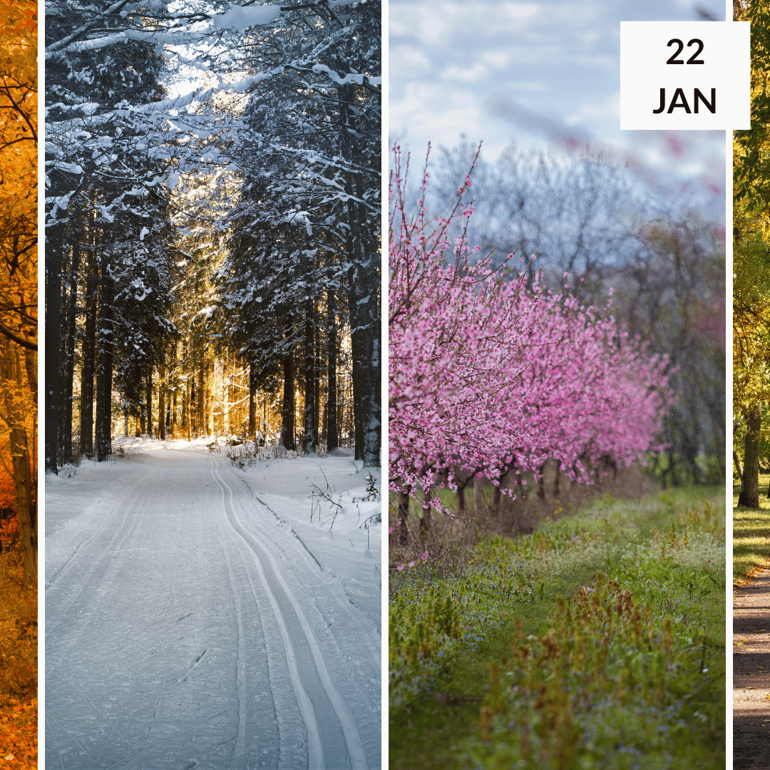 Masterclass 'Leven en werken in het ritme van de seizoenen' met Marcel Tjepkema