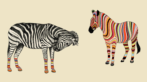 zebrazebra.gif