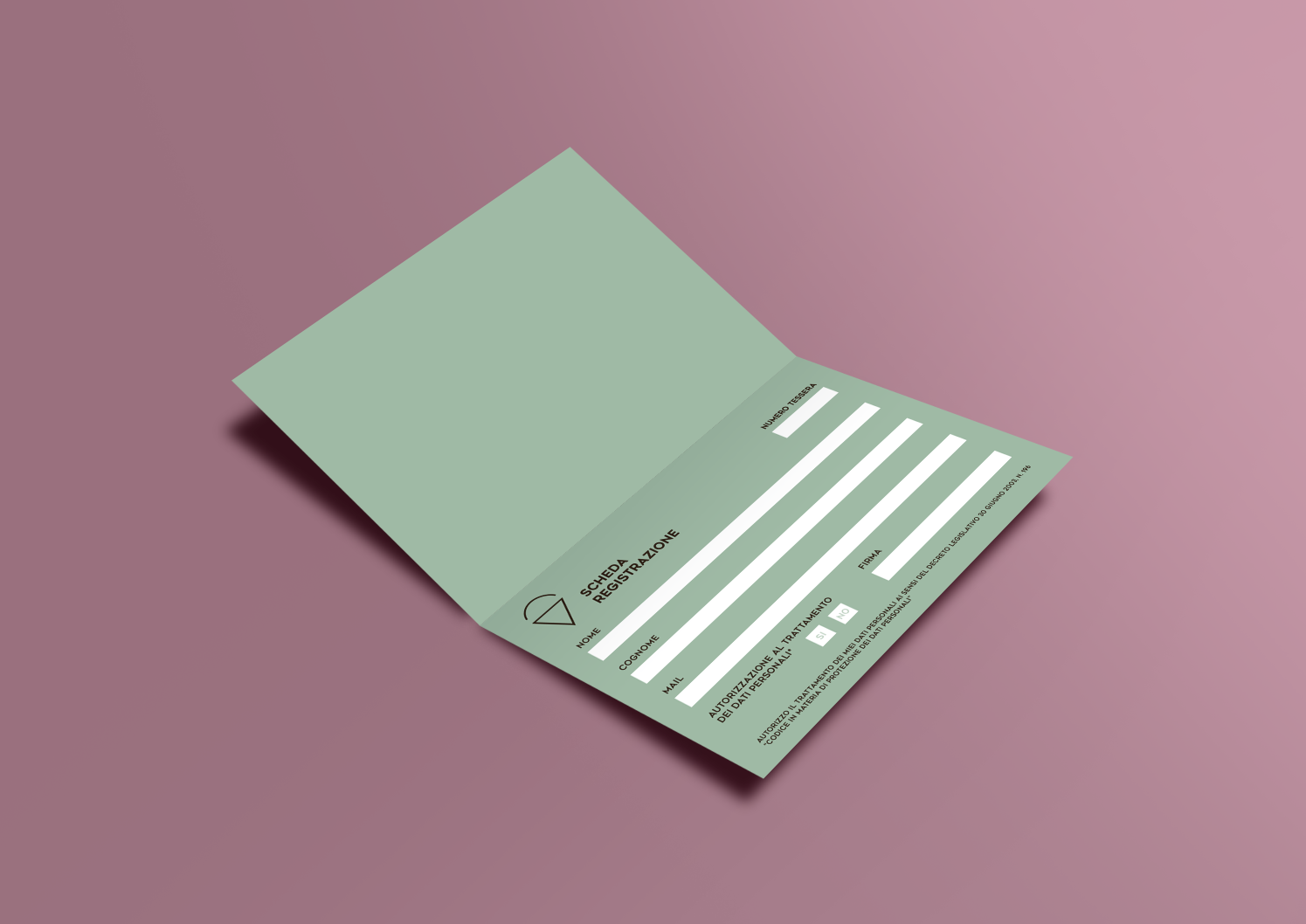 scheda registrazone 2.PNG