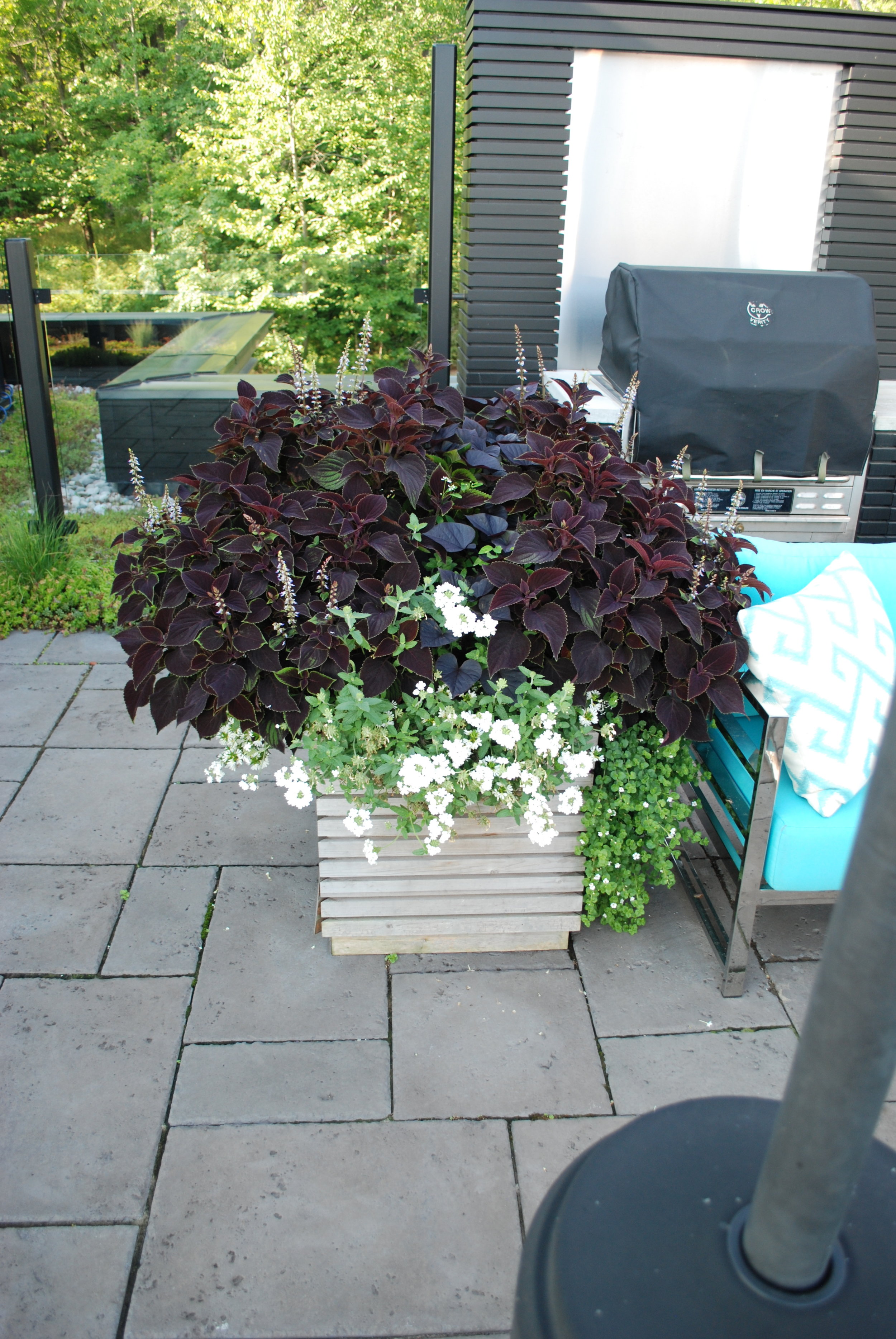 DSC_0036.JPG