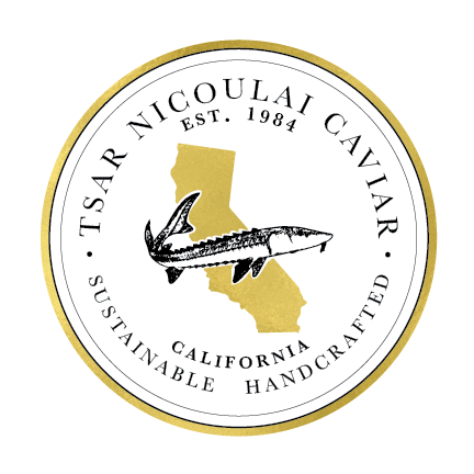 logo copy.png