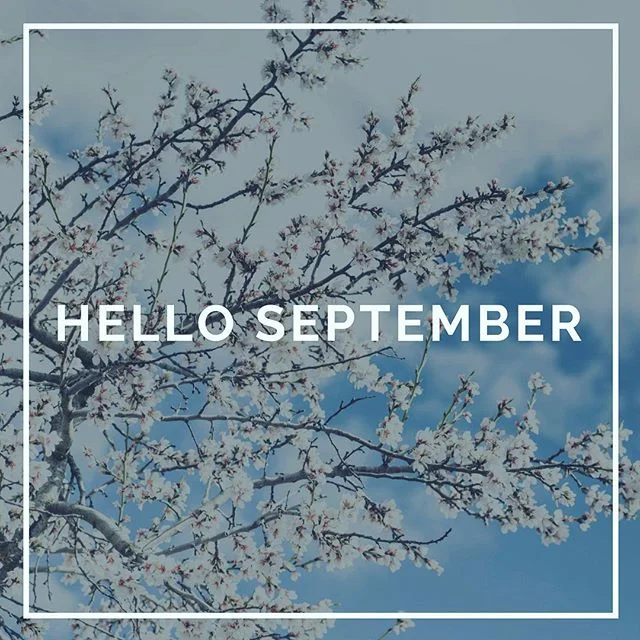 Just 4 months until the end of the year! Re-visit your goals, stay on track, write them down and strategize how to achieve. #endofsummer #goalsetting #health #mentalhealth #education #growth