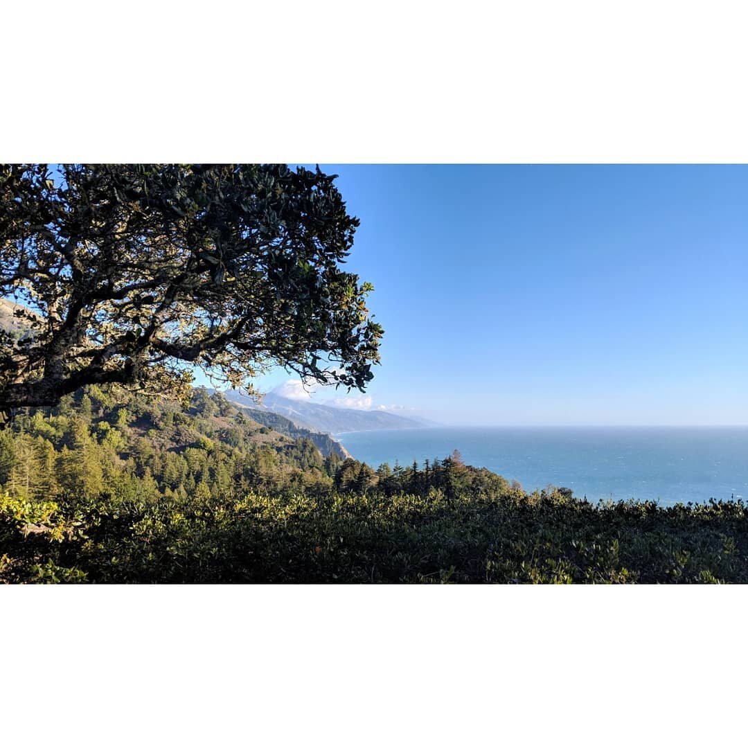 California - January - One of the many beautiful stops along Big Sur.
.
.
.
.
.
.
.
.
.
.
#trees #beach #california #sun #nature #naturelovers #naturephotography #travel #travelphotography #usa #roadtrip #hiking #sea #harbour #landscapephotography #a